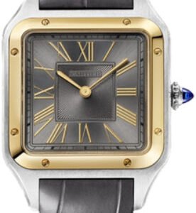 Cartier Santos-Dumont Watchlargesteel Yellow Gold Watch - W2SA0028