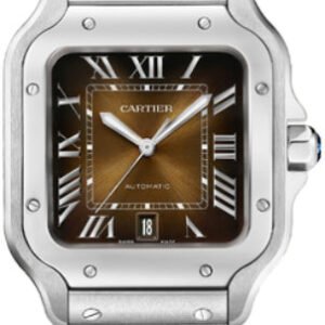 Cartier Santos De Cartier Large Automatic Steel Interchangeable Metal And Leather Bracelets - WSSA0064