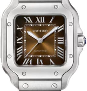 Cartier Santos De Cartier Watch Medium Model Automatic Movement Steel Interchangeable Metal And Leather Straps - WSSA0065